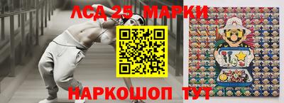 шишки Лесосибирск