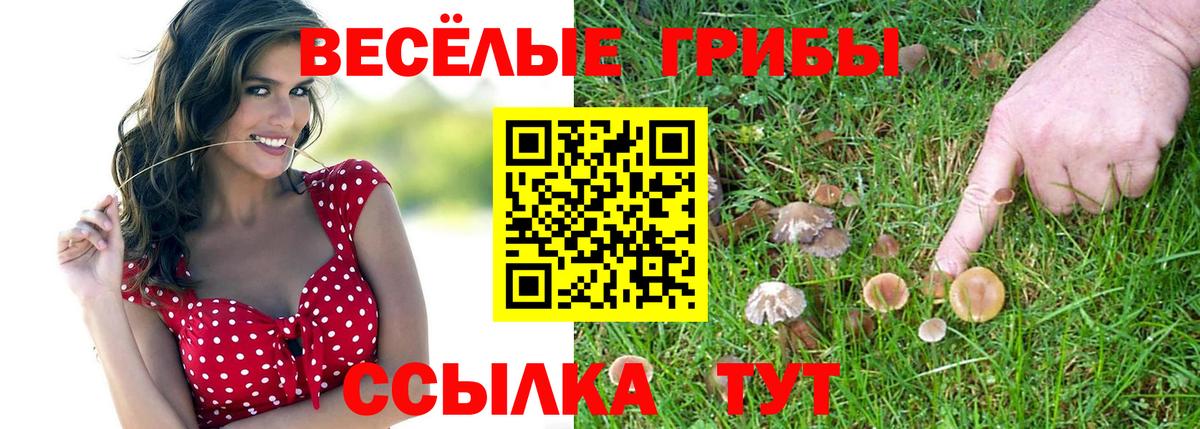 Галлюциногенные грибы Psilocybe  Галлюциногенные грибы прущие грибы  Каспийск 